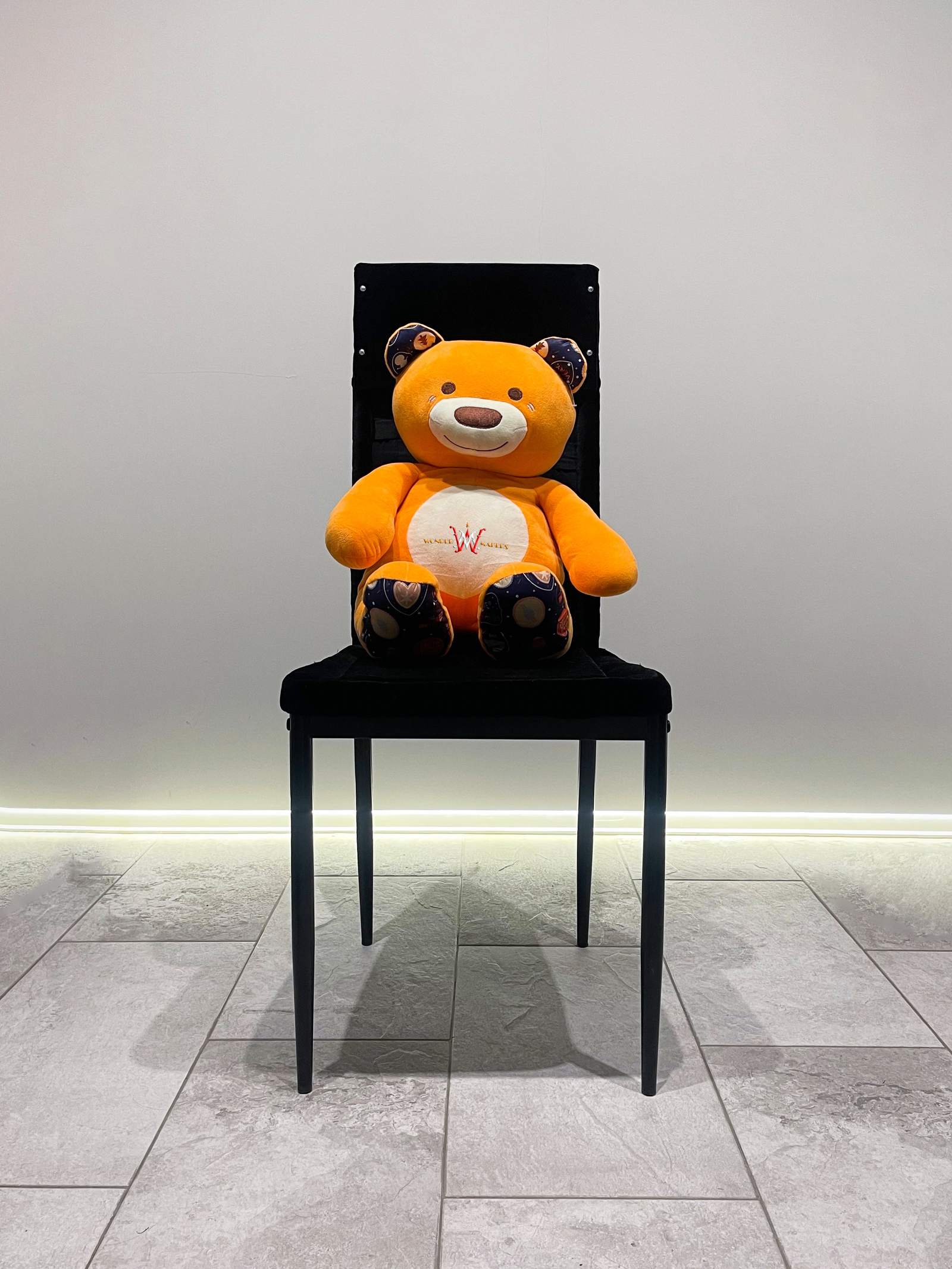 Chair PRO edition on stage